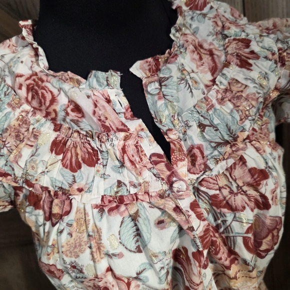 Rebecca Taylor La Vie Roses Dress - Picture 3 of 5